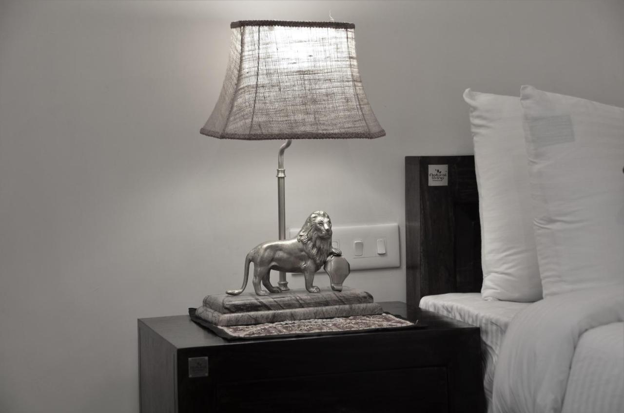 Hotel Dev Villa جيلسامر المظهر الخارجي الصورة